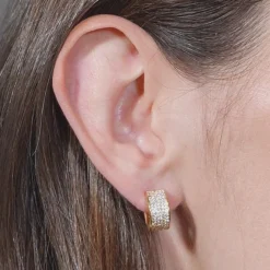 Hot Petit Pavé Thick Huggie Hoops Hoops | Earrings