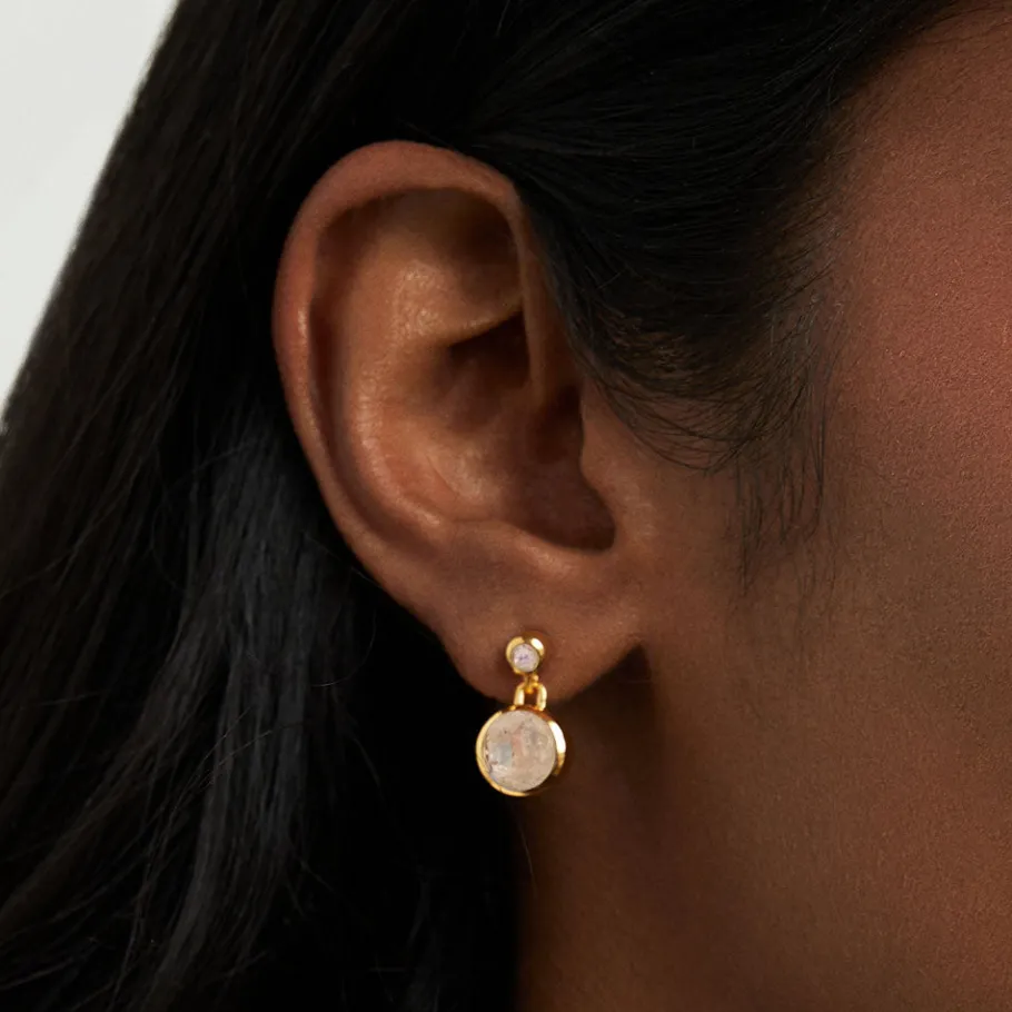 Outlet Signature Droplet Earrings Drop Earrings | Earrings