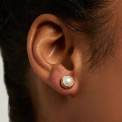 Best Signature Midi Knockout Studs Stud Earrings | Earrings